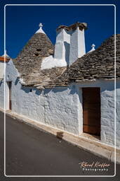 Alberobello (156)