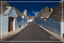 Alberobello (165)