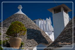 Alberobello (170)