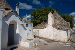 Alberobello (196)