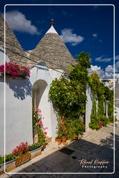 Alberobello (209)