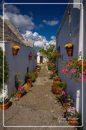 Alberobello (223)