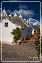 Alberobello (226)