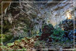 Höhlen von Castellana (3)