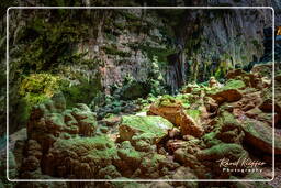 Grutas de Castellana (5)