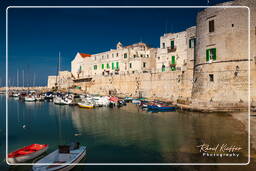 Giovinazzo (1)