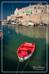 Giovinazzo (2)