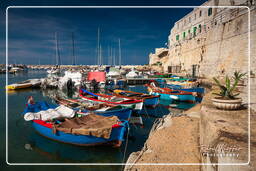 Giovinazzo (25)