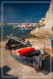 Giovinazzo (29)