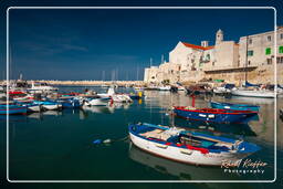 Giovinazzo (32)