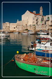 Giovinazzo (34)