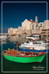 Giovinazzo (40)