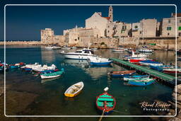 Giovinazzo (42)