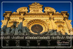 Lecce (274) Basilica di Santa Croce