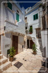 Loccorotondo (252)