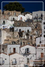 Monte Sant’Angelo (493)