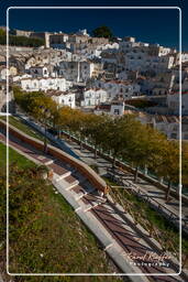 Monte Sant’Angelo (269)
