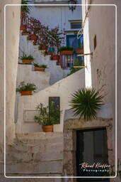 Ostuni (54)