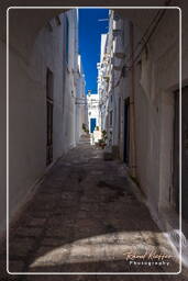 Ostuni (286)