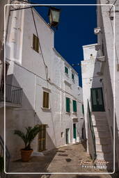 Ostuni (526)