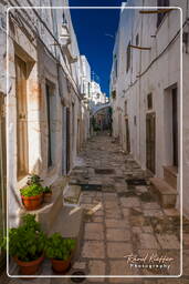 Ostuni (588)