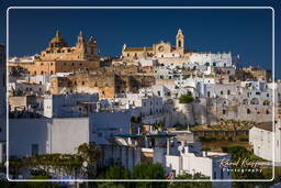 Ostuni (642)