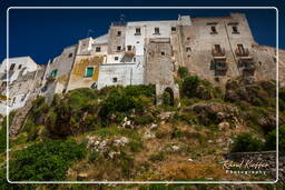 Polignano a Mare (25)