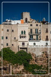 Polignano a Mare (126)