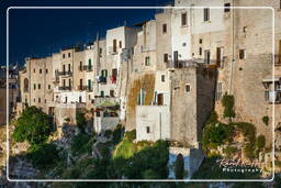 Polignano a Mare (233)