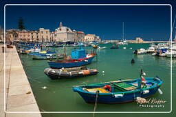 Trani (1)