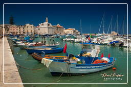 Trani (5)