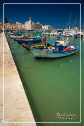 Trani (56)