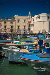 Trani (61)