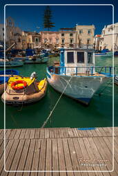 Trani (76)