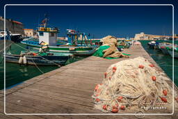 Trani (84)