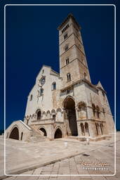 Trani (106)