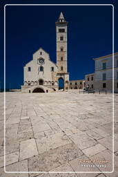 Trani (112)