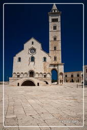 Trani (114)