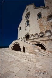 Trani (117)