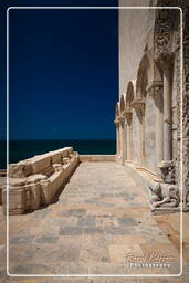 Trani (135)