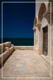 Trani (151)