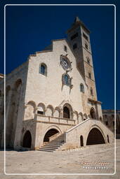 Trani (156)