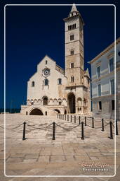 Trani (169)