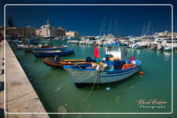 Trani (181)