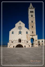 Trani (217)