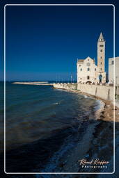 Trani (240)