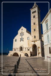 Trani (269)