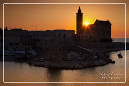 Trani (330)