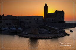 Trani (341)