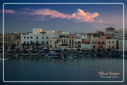 Trani (397)